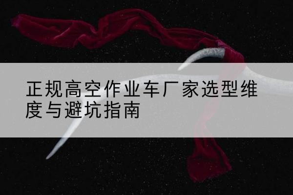 岱岳高空作业车厂家-正规选型维度与避坑指南
