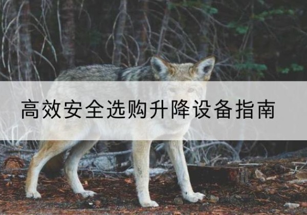 岱岳升降货梯厂家推荐-*安全选购升降设备指南