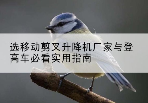 岱岳电动升降机厂家-选移动剪叉升降机厂家与登高车必看实用指南