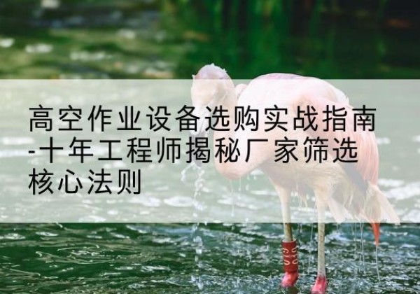 岱岳剪叉式升降机厂家-高空作业设备选购实战指南-十年工程师揭秘厂家筛选核心法则