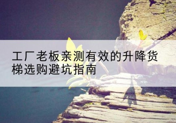岱岳升降货梯怎么选-工厂老板亲测有效的升降货梯选购避坑指南