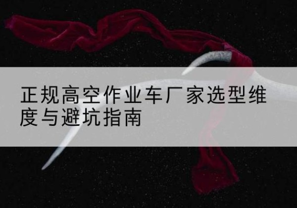岱岳高空作业车厂家-正规选型维度与避坑指南